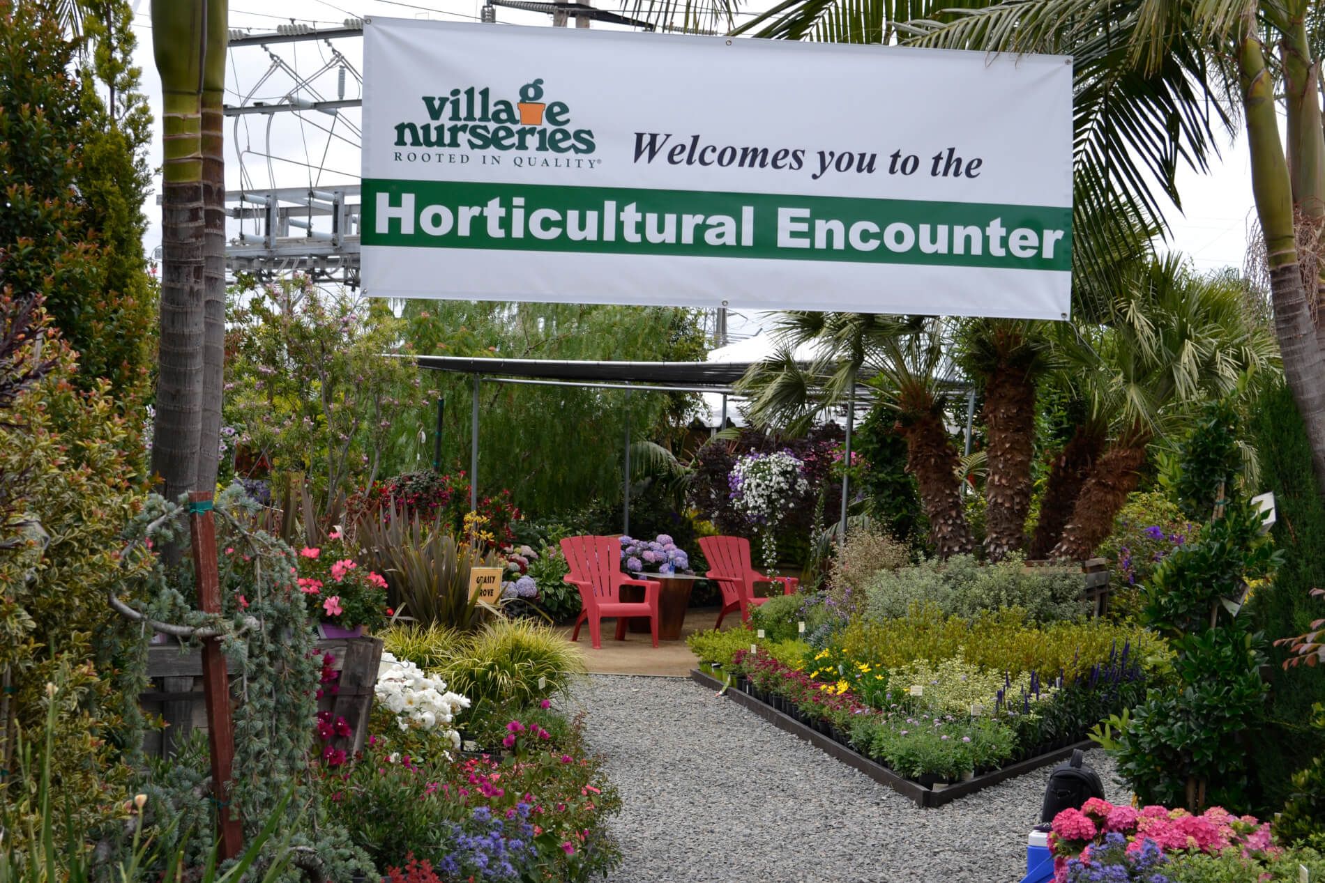 The The Village Nurseries outlet